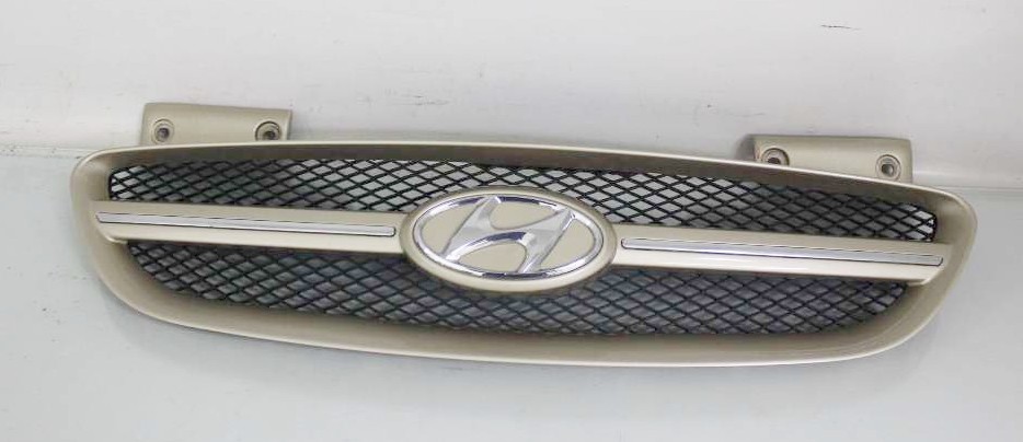 Kølergitter HYUNDAI GETZ (TB)