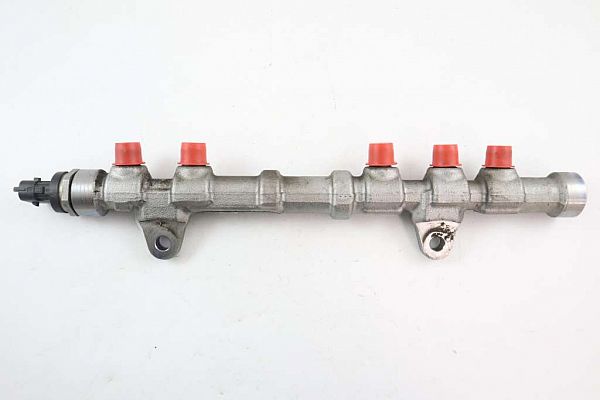 common rail (Injectie) / Verstuiver Brug FIAT DOBLO Box Body/Estate (263_)