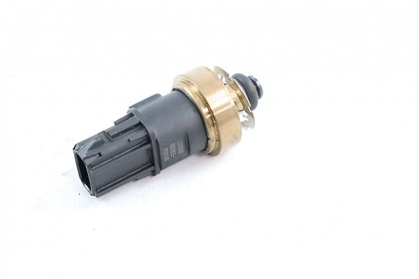 common rail (Injectie) / Verstuiver Brug TOYOTA RAV 4 V (_A5_, _H5_)
