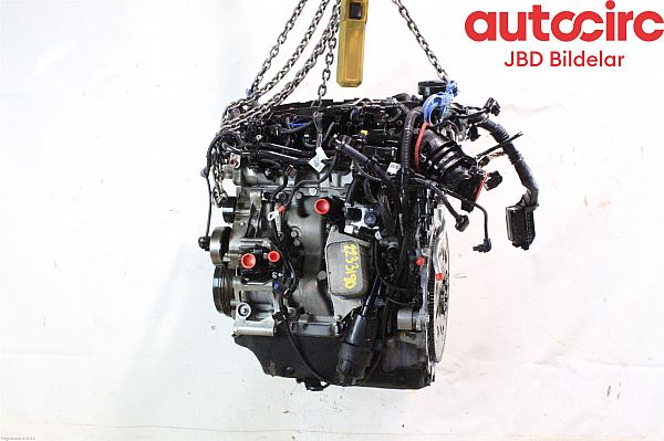 Motor