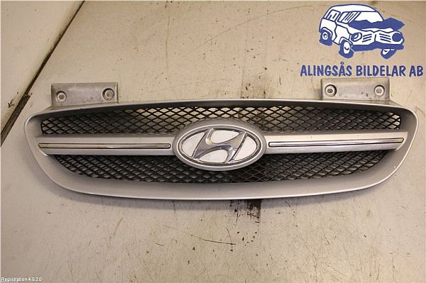 Kølergitter HYUNDAI GETZ (TB)