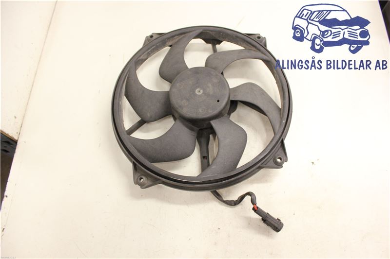 Radiator fan electrical PEUGEOT 307 CC (3B)