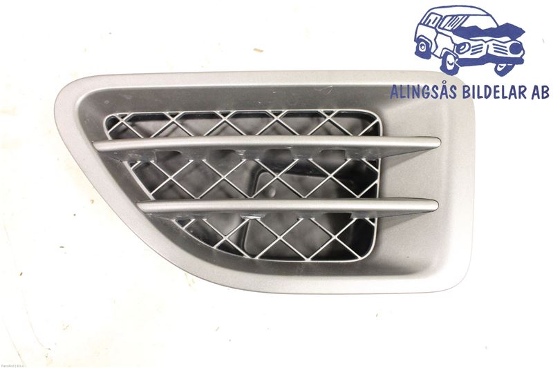 Fender grille