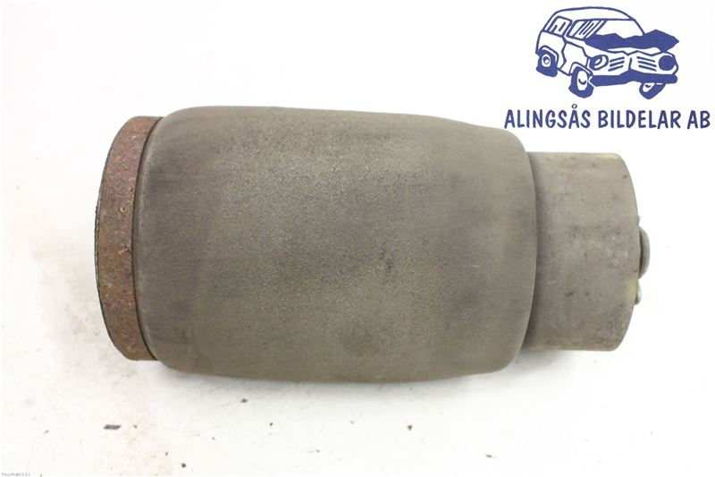 Luftfederbein / Pneumatisches Federbein BMW X5 (E53)