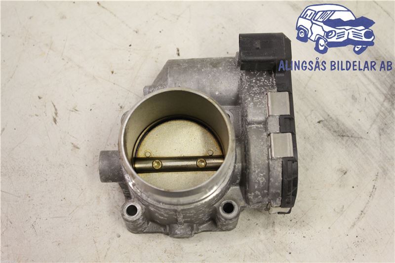 Drosselklappenstellmotor VW PASSAT B5.5 Estate (3B6)