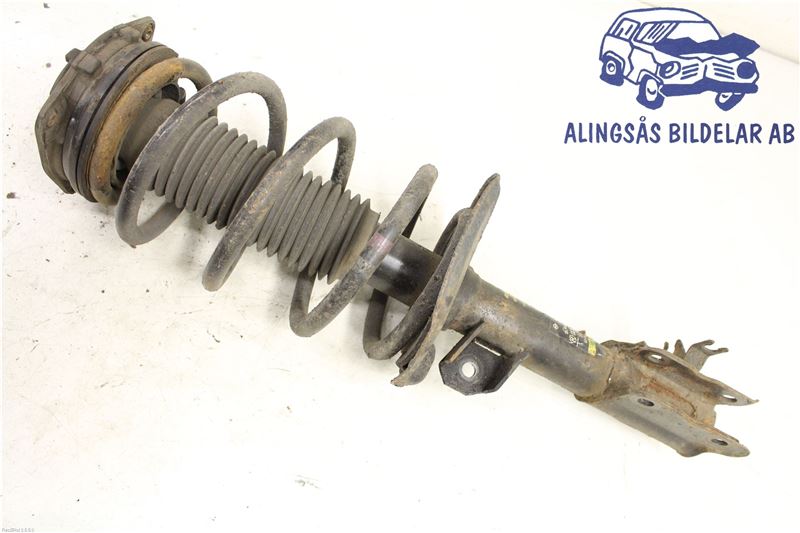 Federbein vorn NISSAN QASHQAI / QASHQAI +2 I (J10, NJ10, JJ10E)