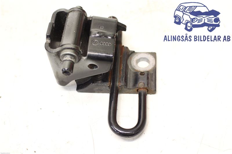 Lower door hinge