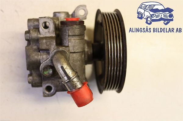 Power steering pump FORD TRANSIT CONNECT (P65_, P70_, P80_)