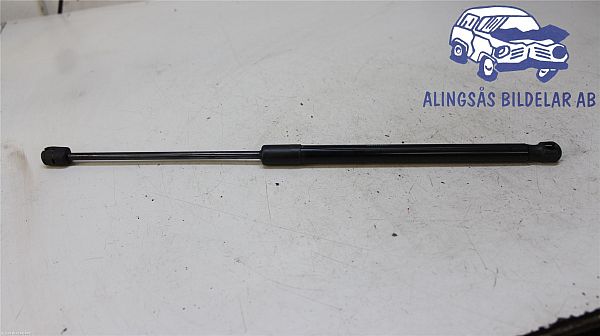Tailgate gas strut CITROËN C4 II (NC_)