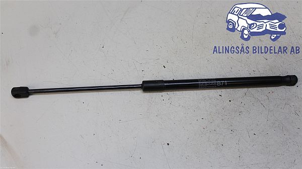 Tailgate gas strut CITROËN C4 II (NC_)