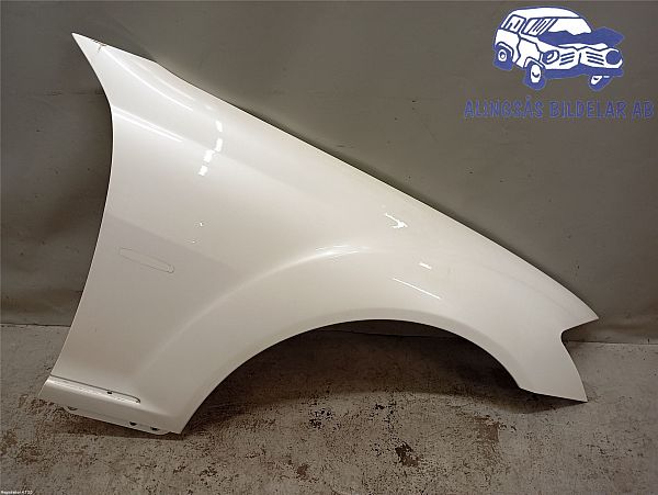 Błotnik przedni prawy MERCEDES-BENZ S-CLASS (W221)