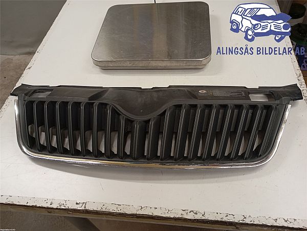 Kühlergrill SKODA FABIA II (542)