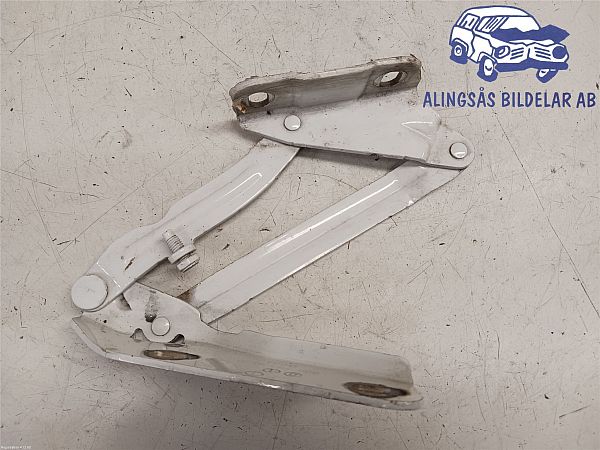 Hood hinges