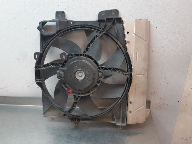 Ventilateur de radiateur électrique PEUGEOT 207 (WA_, WC_)
