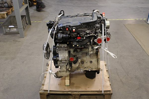 Motor NISSAN NP300 NAVARA Pickup (D23)