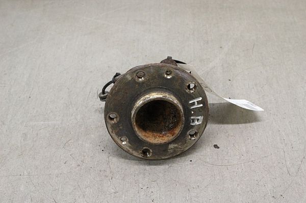 Radnabe hinten RENAULT ZOE (BFM_)