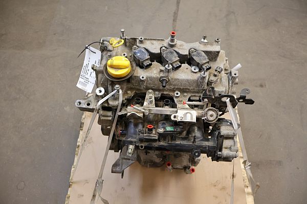 Motor RENAULT CAPTUR I (J5_, H5_)
