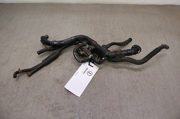 Turboladekontrolle VW EOS (1F7, 1F8)