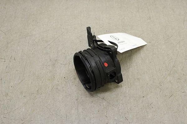 Mass air flow sensor (MAF)