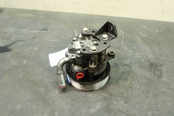 Servopumpe CHRYSLER 300 C (LX, LE)