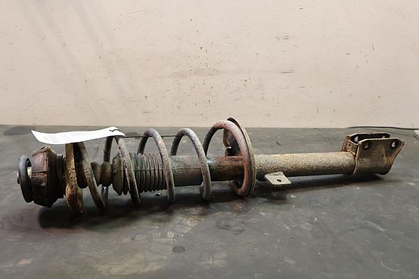 Federbein hinten DACIA DUSTER (HS_)