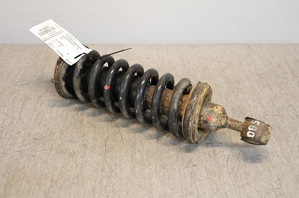 Federbein vorn NISSAN NAVARA NP300 (D40)