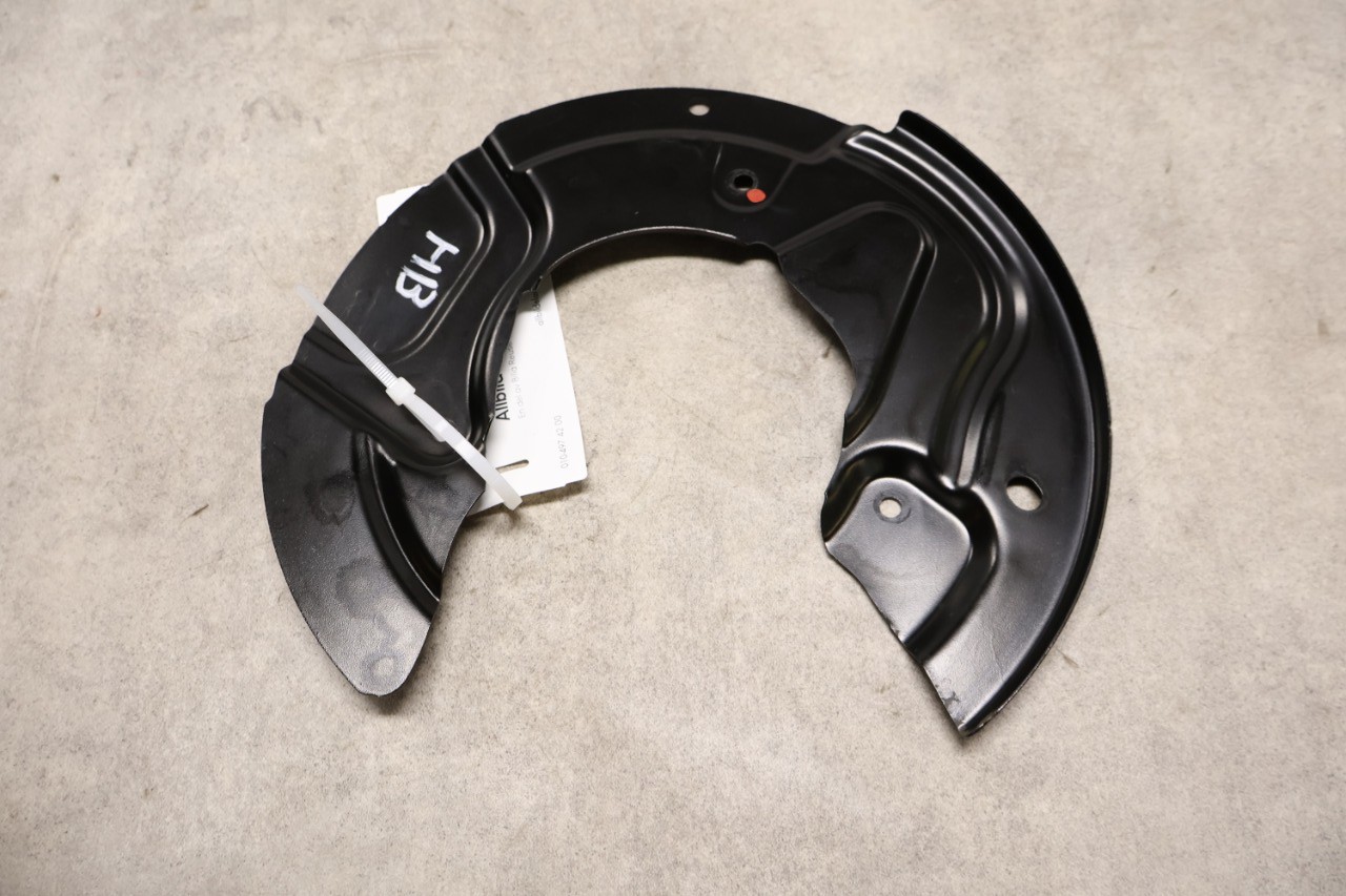 Ankerplatte hinten RENAULT 5