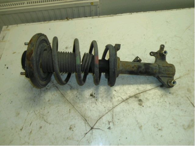 Federbein vorn NISSAN PRIMERA Estate (WP12)
