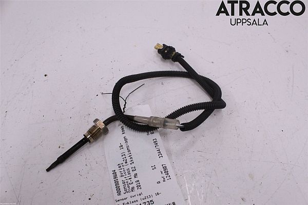 Exhaust gas temperature sensor