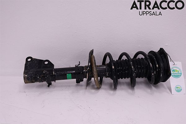 Federbein vorn NISSAN NV250 Box (X61)