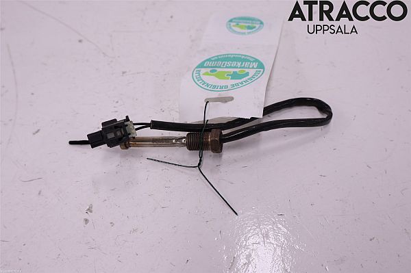 Partikelfilter BMW 5 Touring (G31)