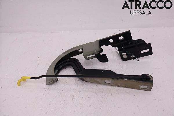 Bonnet hinge PEUGEOT 3008 I MPV (0U_)