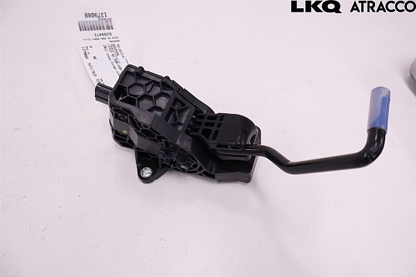 Speederpedal LEXUS NX II (_A2_, _H2_)