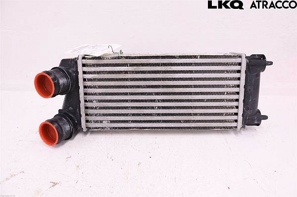 Luchtkoeling bagage CITROËN C4 II (B7)