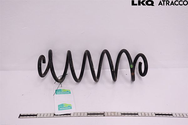 Sprężyna zawieszenia tylna – cewka TOYOTA C-HR (_X1_)
