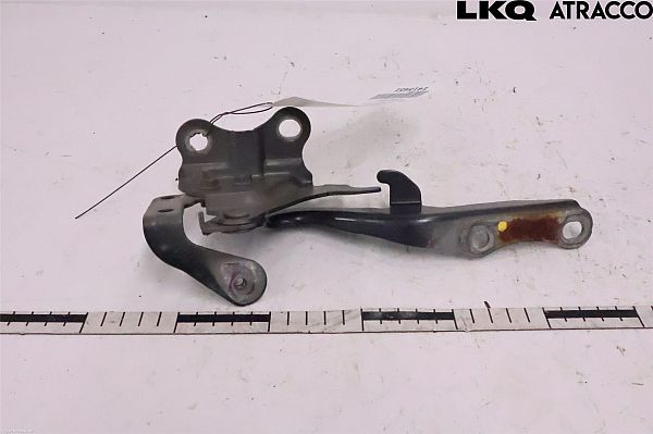 Hjelmhængsel LEXUS RX (_L1_)
