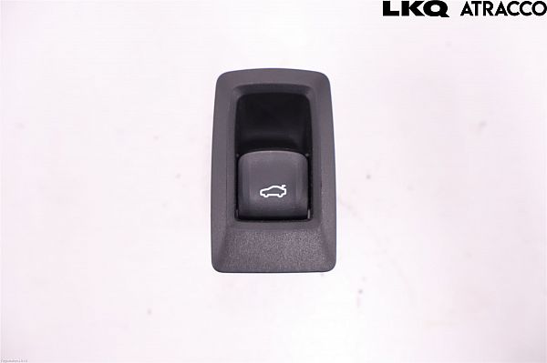Tailgate/boot open switch button