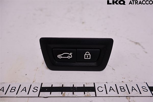 Tailgate/boot open switch button