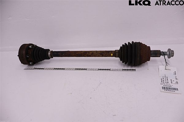 Hinterachse links AUDI A3 Sportback (8PA)