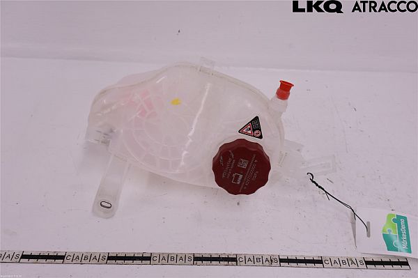 Fuel expansion tank