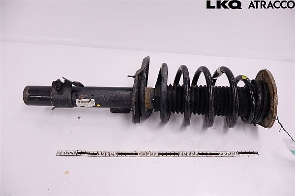 Federbein vorn LAND ROVER DISCOVERY SPORT (L550)