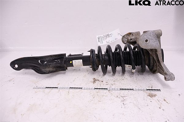 Federbein vorn TESLA MODEL 3 (5YJ3)