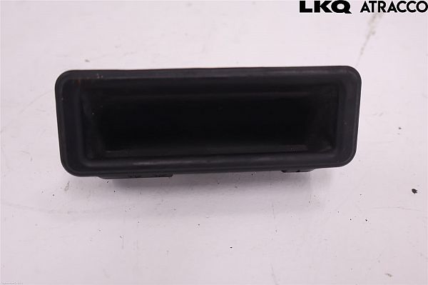 Tailgate exterior handle
