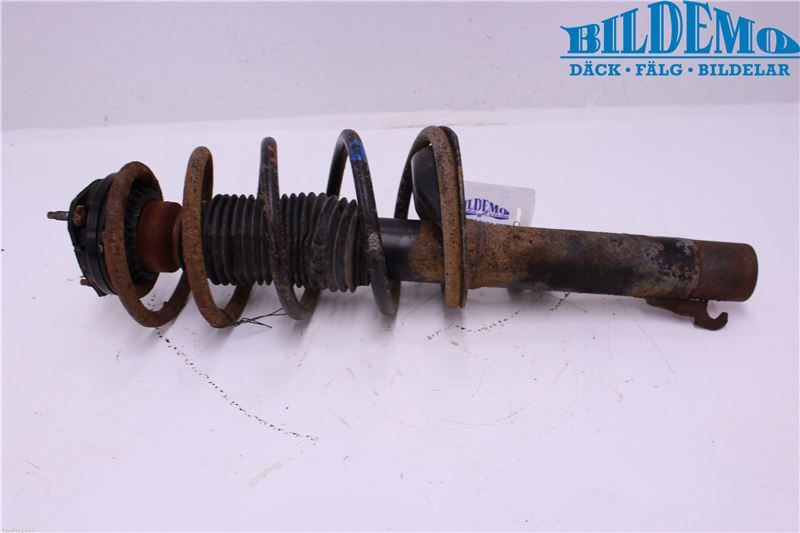 Fjederben for FORD TRANSIT CONNECT (P65_, P70_, P80_)