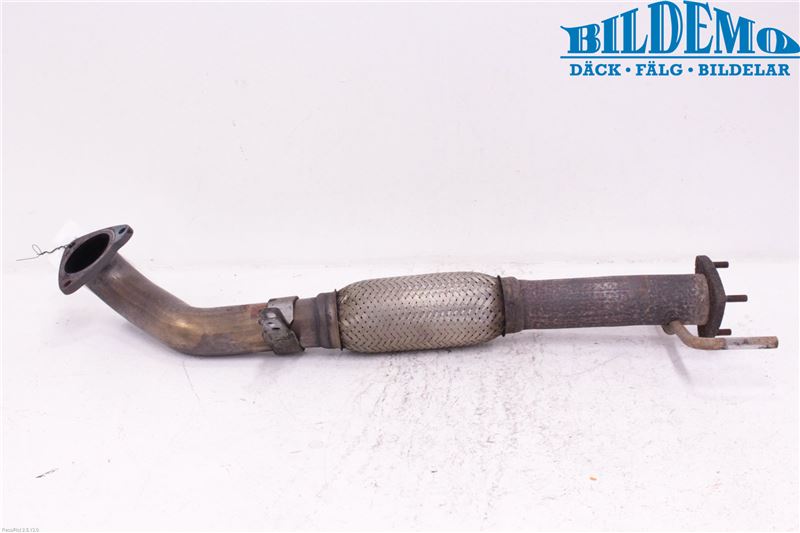 Exhaust pipe