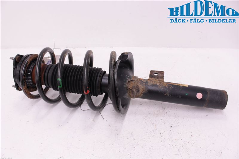 Fjederben for FORD TRANSIT CONNECT (P65_, P70_, P80_)