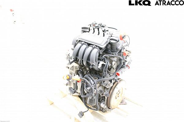 Motor SKODA OCTAVIA II Combi (1Z5)