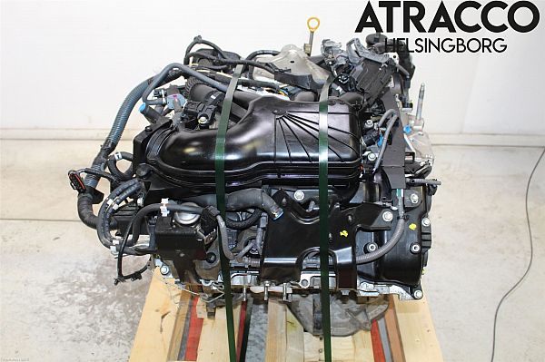 Motor
