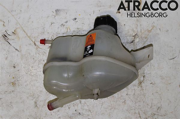 Vase expension NISSAN X-TRAIL (T32_)