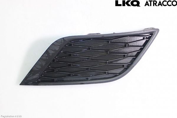 Kølergitter SEAT IBIZA Mk IV (6J5, 6P1)